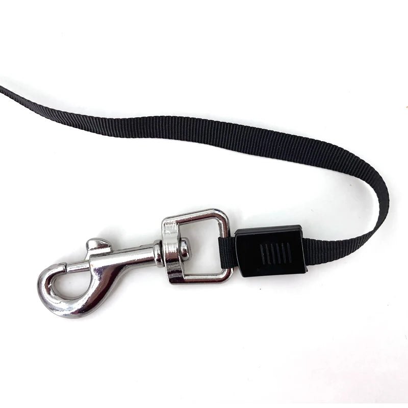 3M/5M Retractable Dog Leash Automatic Flexible Dog Puppy Cat Traction Rope Belt Dog Leash for Small Medium Dogs Pet Products - Enfance-epanouie